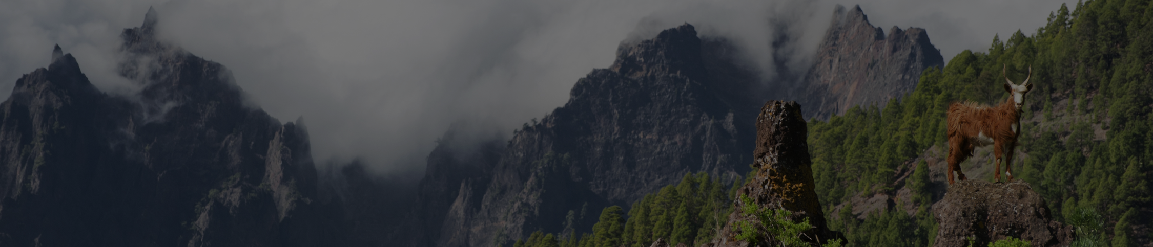 La Oveja Rubia de El Molar se presenta por primera vez en FITUR