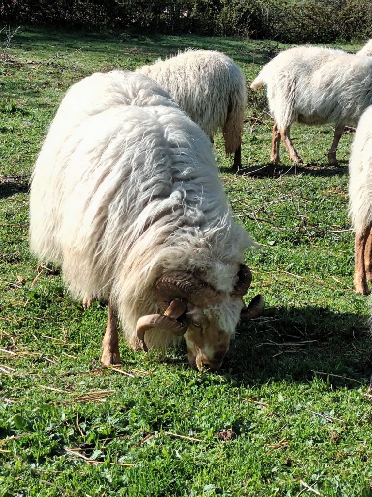 WhatsApp Image 2022-07-15 at 11.34.03 AM (1)